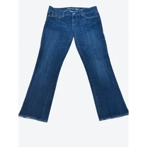 American Eagle Outfitters Straight Leg Stretch Denim Blue Jeans Size 10 Cotton