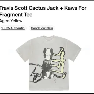 COPY - Travis Scott Cactus Jack x Kaws Fragment Tee
