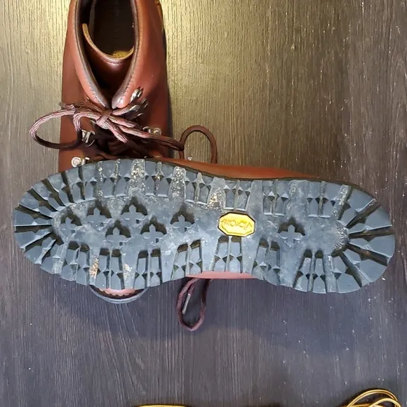 Danner Mountain Light Hiking Boot