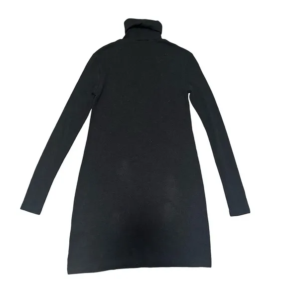 Polo Ralph Lauren Turtleneck Dress