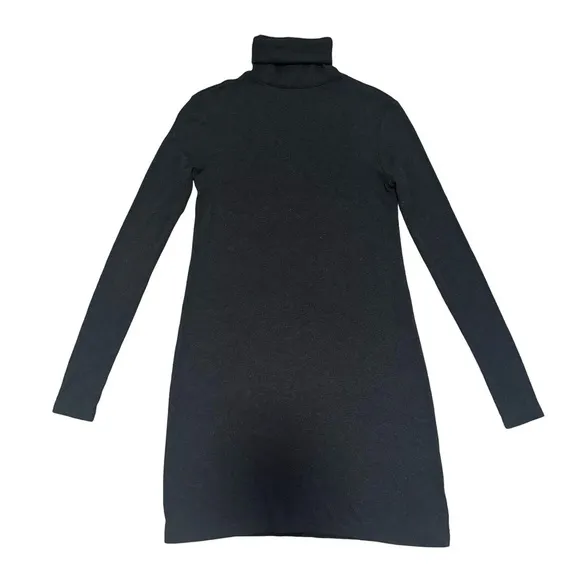 Polo Ralph Lauren Turtleneck Dress