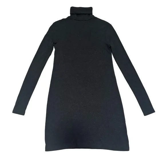 Polo Ralph Lauren Turtleneck Dress