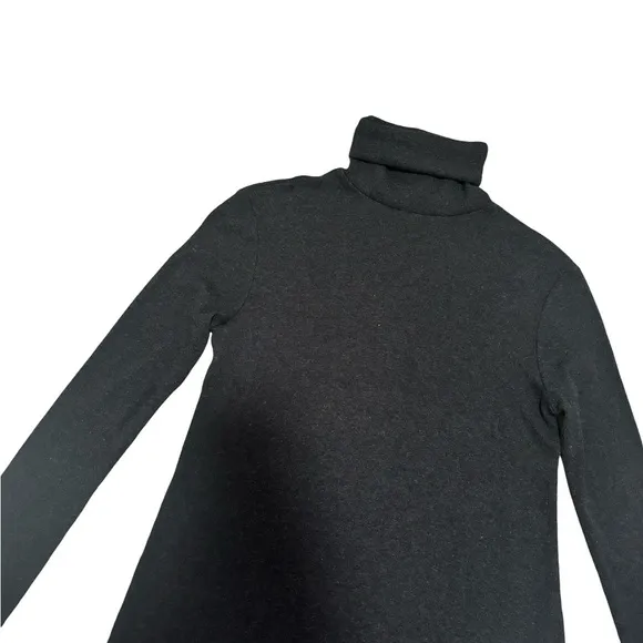 Polo Ralph Lauren Turtleneck Dress