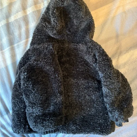 TEDDY 1  IN THE FAMILY HAIRY JACKET