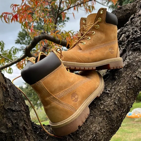 Timberland  junior Boots