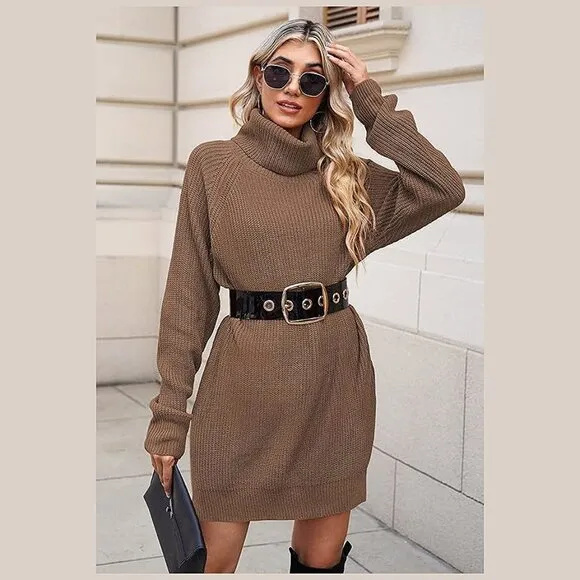 Women's Loose Turtleneck Oversize Long Pullover Sweater Dress Y - Chestnut